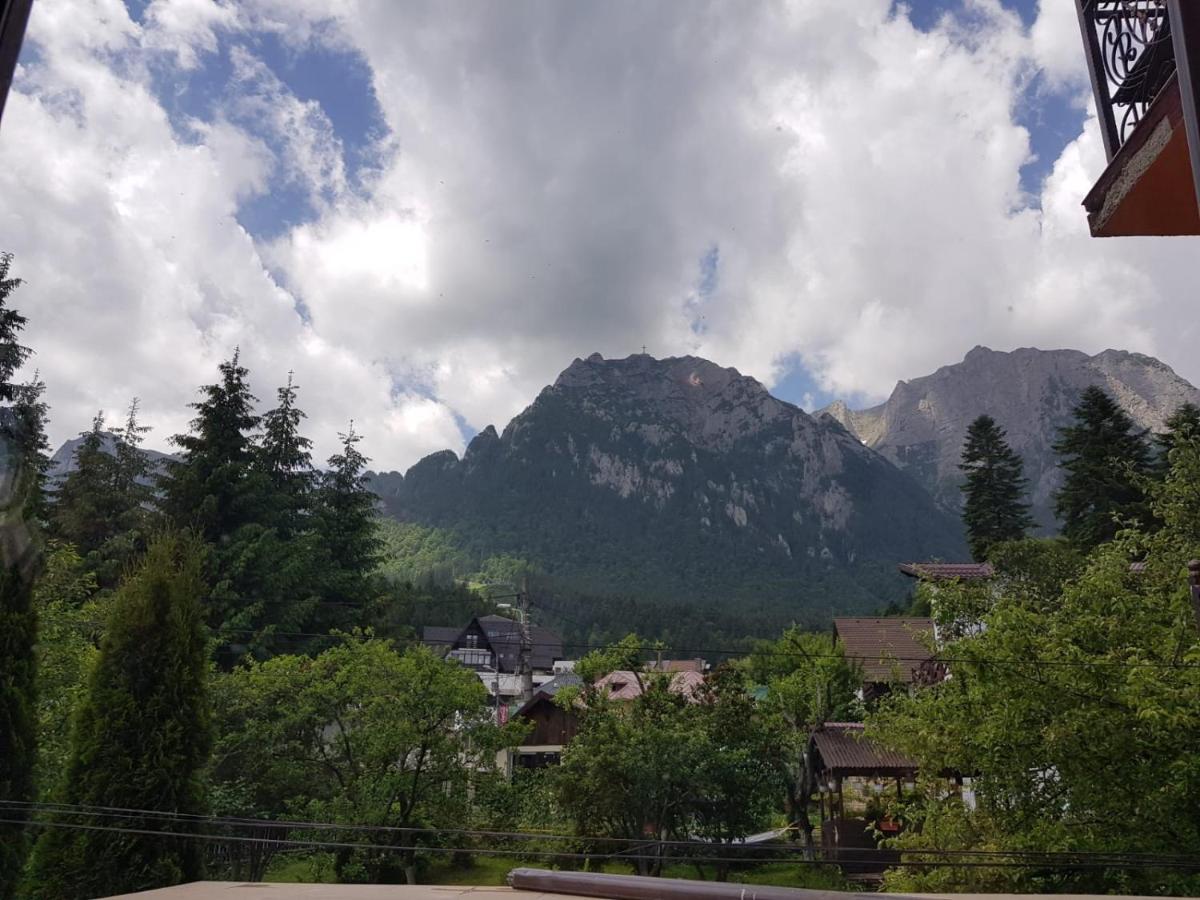 Hotel Iri Buşteni Esterno foto